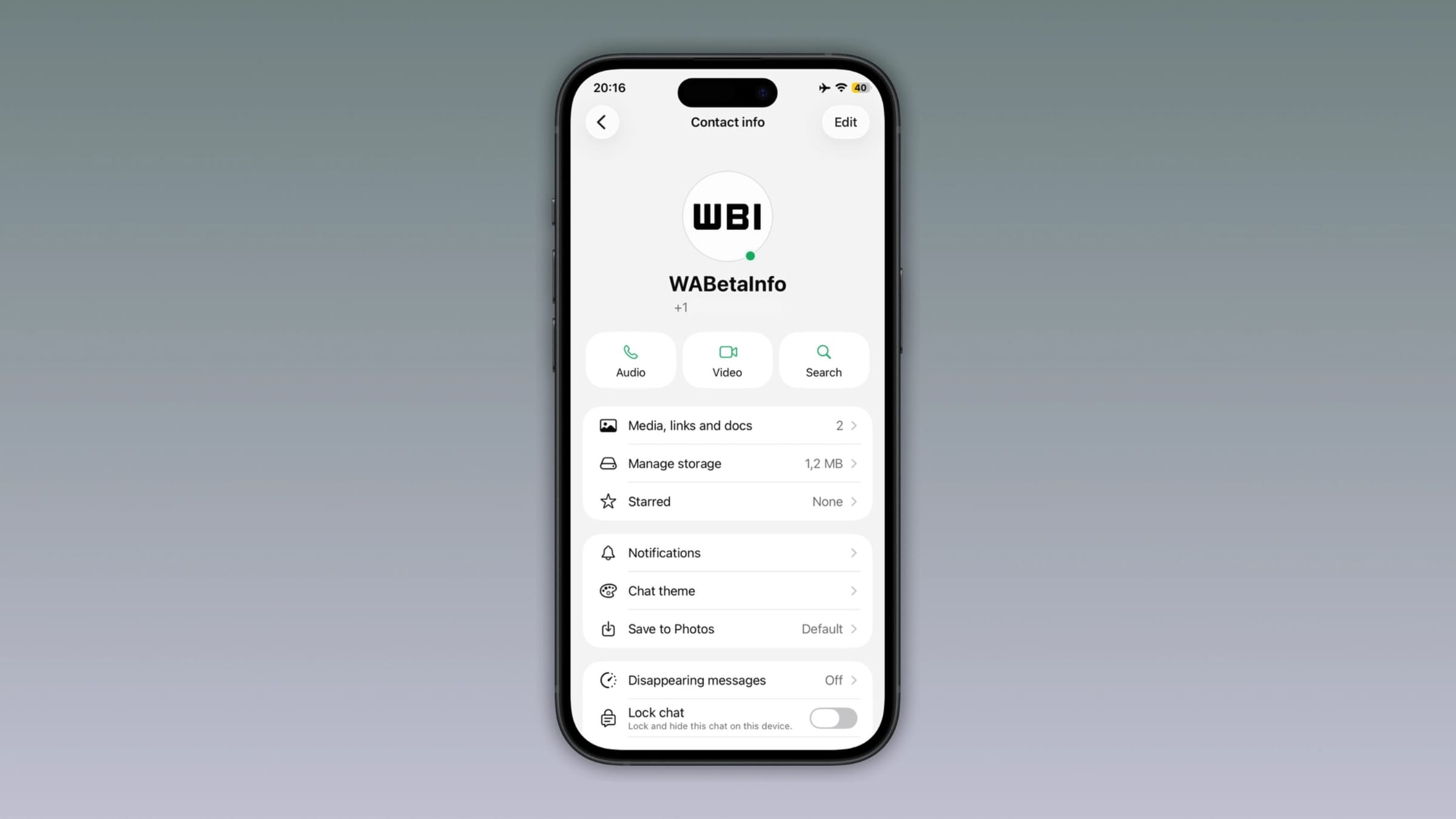 WhatsApp-Smartphone mit grünem Online-Indikator-Punkt auf einem Kontakt-Profilbild im iOS-Beta-Test